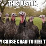 Turkeys | THIS JUST IN, TURKEY CAUSE CHAD TO FLEE TO IRAN | image tagged in turkeys | made w/ Imgflip meme maker