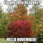 november | Finally thru October. HELLO NOVEMBER! | image tagged in november | made w/ Imgflip meme maker