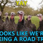 Who's going to tell them? :)  | YAY; LOOKS LIKE WE'RE TAKING A ROAD TRIP... | image tagged in turkeys,memes,thanksgiving | made w/ Imgflip meme maker