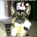 dog with toy | WHEN YOUR DOG KNOWS #LIVEPD WILL BE ON SOON; AND IS WAITING FOR YOU TO CHANGE THE CHANNEL | image tagged in dog with toy | made w/ Imgflip meme maker