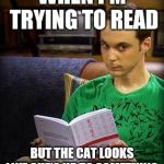 Sheldon Cooper | WHEN I'M TRYING TO READ; BUT THE CAT LOOKS LIKE SHE'S UP TO SOMETHING. | image tagged in sheldon cooper | made w/ Imgflip meme maker