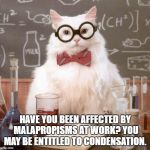 cat scientist Meme Generator - Imgflip