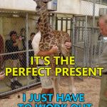 Remember - a giraffe is for life, not just for Christmas... :) | IT'S THE PERFECT PRESENT; I JUST HAVE TO WORK OUT HOW TO WRAP IT... | image tagged in giraffe hugging,memes,animals,christmas,giraffes | made w/ Imgflip meme maker