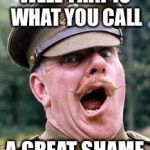 windsor davies | WELL THAT IS WHAT YOU CALL; A GREAT SHAME | image tagged in windsor davies | made w/ Imgflip meme maker