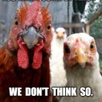 gangster chickens | YOU WANT SOME OF THIS ? WE  DON'T  THINK  SO. | image tagged in gangster chickens | made w/ Imgflip meme maker