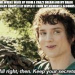 Frodo secrets | ME WHEN I WAKE UP FROM A CRAZY DREAM AND MY BRAIN HAS ALREADY COMPLETELY WIPED IT FROM MY MEMORY 5 SECONDS LATER | image tagged in frodo secrets | made w/ Imgflip meme maker
