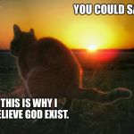 cat pooping and sunset | YOU COULD SAY; THIS IS WHY I BELIEVE GOD EXIST. | image tagged in cat pooping and sunset | made w/ Imgflip meme maker
