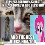 Rest in peace PupsRaceDown33 | LET PUPSRACEDOWN33 REST IN PEACE BECAUSE GOD BLESS HIM; AND THE REST BLESS HIM TOO | image tagged in rest in peace m8 ghoster,pupsracedown33 | made w/ Imgflip meme maker