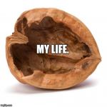 My life in a nutshell. | MY LIFE. | image tagged in nutshell,my life | made w/ Imgflip meme maker