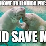 Manatee1 | COME HOME TO FLORIDA PRESCOTT; AND SAVE ME! | image tagged in manatee1 | made w/ Imgflip meme maker