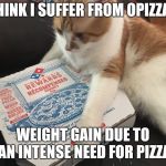 Cat pizza | I THINK I SUFFER FROM OPIZZATY; WEIGHT GAIN DUE TO AN INTENSE NEED FOR PIZZA | image tagged in cat pizza | made w/ Imgflip meme maker