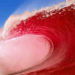 Red wave