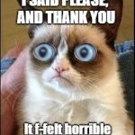 Grumpy Cat Shocked | I SAID PLEASE, AND THANK YOU; It f-felt horrible | image tagged in grumpy cat shocked | made w/ Imgflip meme maker