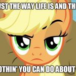 That's just the way life is | THAT'S JUST THE WAY LIFE IS AND THERE AIN'T; NOTHIN' YOU CAN DO ABOUT IT. | image tagged in applejack with eyebrow,memes,applejack,my little pony,my little pony friendship is magic,funny | made w/ Imgflip meme maker