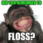 Grinning Chimp | DID YOU REMEMBER TO; FLOSS? | image tagged in grinning chimp | made w/ Imgflip meme maker