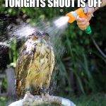 shoot is off | TONIGHTS SHOOT IS OFF | image tagged in owl wet shower,raining,no photo shoot,it rained on us | made w/ Imgflip meme maker