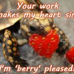 Baby turtle Valentine  | Your work makes my heart sing! I'm 'berry' pleased! | image tagged in baby turtle valentine | made w/ Imgflip meme maker