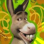 donkey