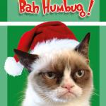 Bah Humbug Grumpy Cat