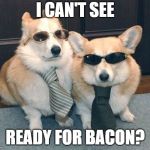 dogs goin out | I CAN'T SEE; READY FOR BACON? | image tagged in dogs goin out | made w/ Imgflip meme maker