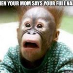 OH SHIT MONKEY | WHEN YOUR MOM SAYS YOUR FULL NAME. | image tagged in oh shit monkey | made w/ Imgflip meme maker