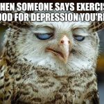 Exasperated GM Owl | WHEN SOMEONE SAYS EXERCISE IS GOOD FOR DEPRESSION YOU'RE LIKE | image tagged in exasperated gm owl | made w/ Imgflip meme maker