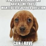 wifi password | MY NAME IS WILL. I AM YOUR NEIGHBOR. WE HAVEN'T MET, BUT I WANTED TO ASK YOU A QUESTION; CAN I HAVE YOUR WIFI PASSWORD? | image tagged in sad puppy,wifi | made w/ Imgflip meme maker