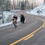 Bear Chasing A Cyclist meme