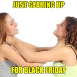 All We Need Is Steely Dan Singing It In the Background | JUST GEARING UP; FOR BLACK FRIDAY | image tagged in women fighting,memes,steely dan,black friday | made w/ Imgflip meme maker