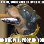 triumph dog | THIS IS THE POLICE, SURRENDER OR I WILL RELEASE MY DOG; AND HE WILL POOP ON YOU | image tagged in triumph dog | made w/ Imgflip meme maker