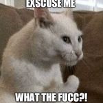 WTF italian cat | EXSCUSE ME; WHAT THE FUCC?! | image tagged in wtf italian cat,holy shit,new template,plz,i need it,cat | made w/ Imgflip meme maker