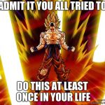 Come on you know you do | ADMIT IT YOU ALL TRIED TO; DO THIS AT LEAST ONCE IN YOUR LIFE | image tagged in goku dbz wikia becky hijabi | made w/ Imgflip meme maker