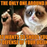Am I the only grumpy one around here? | AM I THE ONLY ONE AROUND HERE; THAT WANTS TO SHOOT YOU IN SELF DEFENSE OF YOUR UGLINESS | image tagged in grumpy cat,memes,am i the only one around here,funny,bad photoshop sunday | made w/ Imgflip meme maker