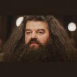 hagrid 2