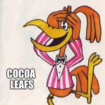 Coocoo | IM COO COO FOR; COCOA LEAFS | image tagged in coocoo | made w/ Imgflip meme maker