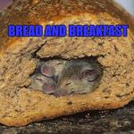 Bread and Breakfast | BREAD AND BREAKFAST | image tagged in bed n breakfast,mice,disgusting,hotel,bad puns,surprise | made w/ Imgflip meme maker