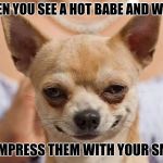 When you | WHEN YOU SEE A HOT BABE AND WANT; TO IMPRESS THEM WITH YOUR SMILE | image tagged in when you | made w/ Imgflip meme maker