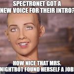 Robot_destroy_all_humans | SPECTRONET GOT A NEW VOICE FOR THEIR INTRO? HOW NICE THAT MRS. NIGHTBOT FOUND HERSELF A JOB! | image tagged in robot_destroy_all_humans | made w/ Imgflip meme maker