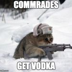 Cute Sad Soviet War Kitten | COMMRADES; GET VODKA | image tagged in cute sad soviet war kitten | made w/ Imgflip meme maker