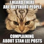 If people complain about mourning a man, at least for one day, I guess they don't get how life really works. | I HEARD THERE ARE BUTTHURT PEOPLE; COMPLAINING ABOUT STAN LEE POSTS | image tagged in grrrrr | made w/ Imgflip meme maker