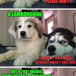 Punny Puppy | HEY, WHAT KIND OF CAR DOES A SHEEP DRIVE? PLEASE DON'T; A LAMBORGHINI; OH GOD, I... WAIT, THAT ACTUALLY WASN'T THAT BAD; BUT IF THAT BREAKS DOWN THEY USE A SU-BAAHH-RU; I HATE YOU | image tagged in upset husky | made w/ Imgflip meme maker