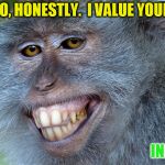 funny animals | NO, HONESTLY.  I VALUE YOUR; INPUT | image tagged in funny animals | made w/ Imgflip meme maker
