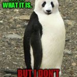 Crazy Animals-Emperor Panda | I DON'T KNOW WHAT IT IS, BUT I DON'T FEEL MYSELF TODAY. | image tagged in crazy animals-emperor panda | made w/ Imgflip meme maker