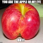 apple | YOU ARE THE APPLE OF MY EYE; BUTT | image tagged in apple | made w/ Imgflip meme maker