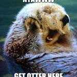 Shucks Otter | NYAWWW; GET OTTER HERE | image tagged in shucks otter | made w/ Imgflip meme maker
