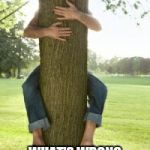 I mean, I don't see the problem in caring about the environment. | WHAT'S WRONG WITH HUGGING TREES? | image tagged in tree hugger,why not | made w/ Imgflip meme maker