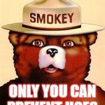 Smokey The Bear | ONLY YOU CAN PREVENT HOES | image tagged in smokey the bear | made w/ Imgflip meme maker