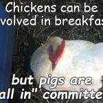 Motivation and commitment to any project can are directly proportional to what? How much "skin you have in the game?" | Chickens can be involved in breakfast; but pigs are "all in" committed. | image tagged in angry chicken boss,old saw,old saws are the best saws,isn't that so,douglie | made w/ Imgflip meme maker