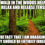 forest path | A WALK IN THE WOODS HELPS ME RELAX AND RELEASE TENSION; THE FACT THAT I AM DRAGGING A BODY SHOULD BE ENTIRELY IRRELEVANT | image tagged in forest path | made w/ Imgflip meme maker