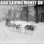 Canada saving money on gas | CANADA SAVING MONEY ON GAS | image tagged in dog sled,canada winter,dogs,pet,snow sled dogs | made w/ Imgflip meme maker